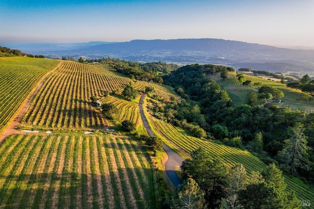 aerial view with a mountain view and a rural view