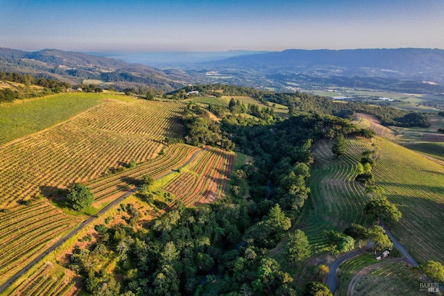 drone / aerial view with a mountain view and a rural view