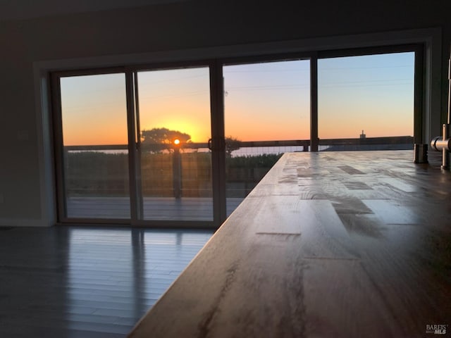 interior space with dark hardwood / wood-style flooring