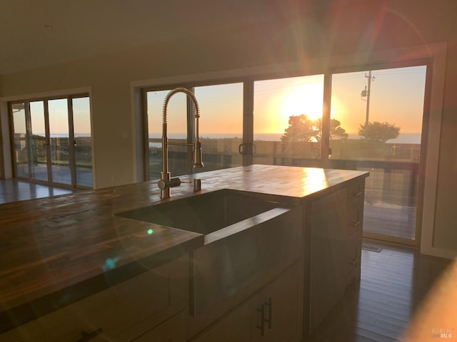 kitchen featuring wood-type flooring and sink