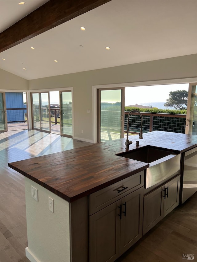 kitchen with butcher block counters, a wealth of natural light, and hardwood / wood-style flooring