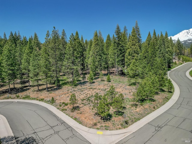 Listing photo 2 for 0 Old Mill Dr, Mccloud CA 96057