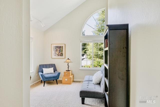 living area featuring high vaulted ceiling, carpet, baseboards, and track lighting