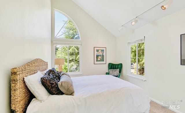 bedroom with lofted ceiling, carpet flooring, and track lighting