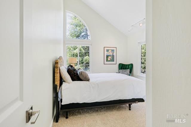 bedroom featuring vaulted ceiling and rail lighting