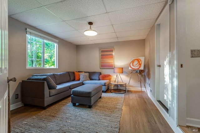 living area featuring baseboards, a drop ceiling, and wood finished floors