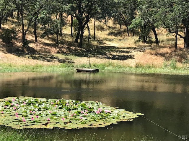 water view