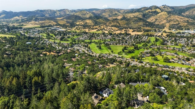 birds eye view of property featuring a mountain view