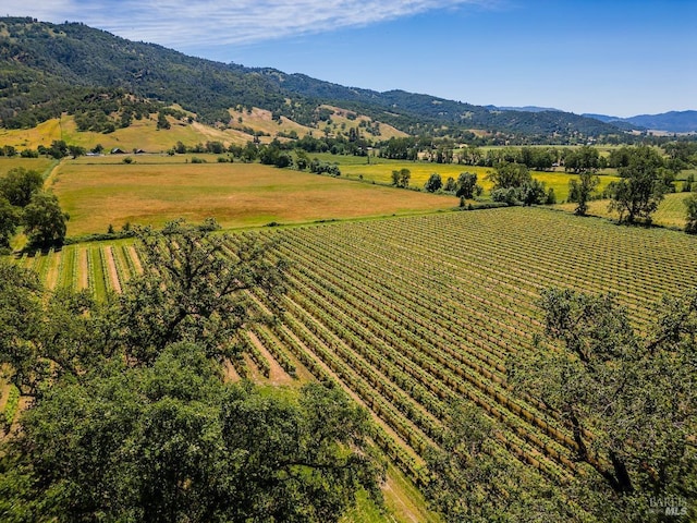 drone / aerial view featuring a mountain view and a rural view