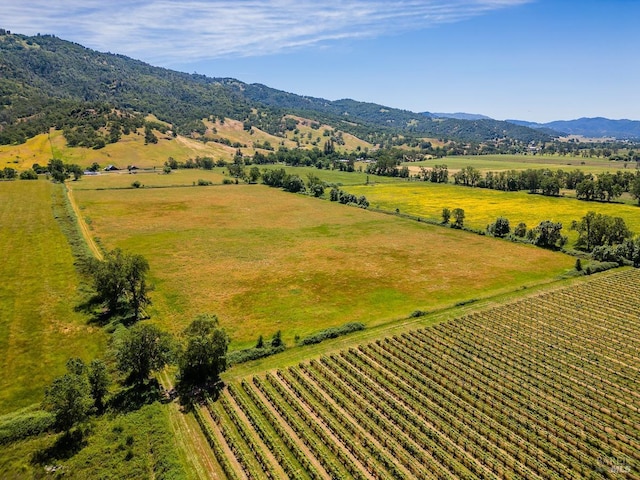 drone / aerial view with a mountain view and a rural view