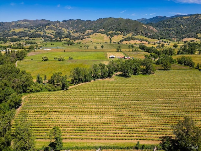 drone / aerial view with a mountain view and a rural view