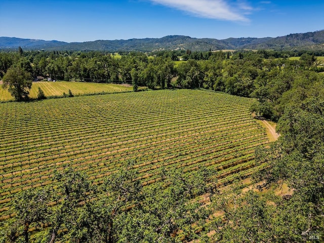 aerial view with a mountain view and a rural view