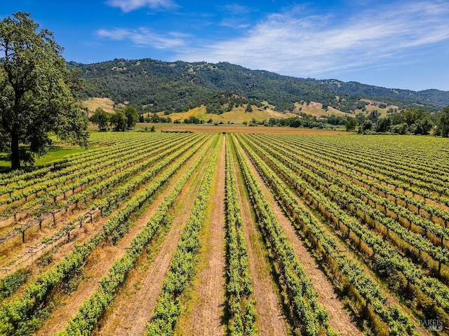 view of yard featuring a mountain view and a rural view