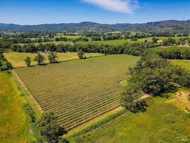 drone / aerial view featuring a mountain view and a rural view