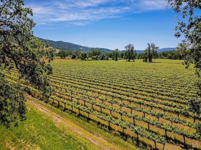 mountain view featuring a rural view