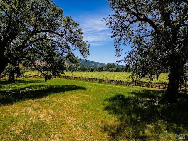 view of landscape with a rural view