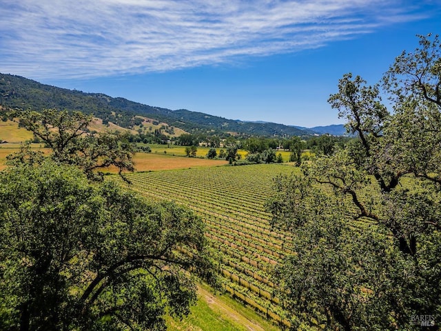 property view of mountains with a rural view