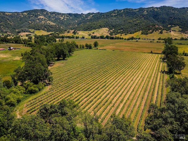 bird's eye view featuring a mountain view and a rural view