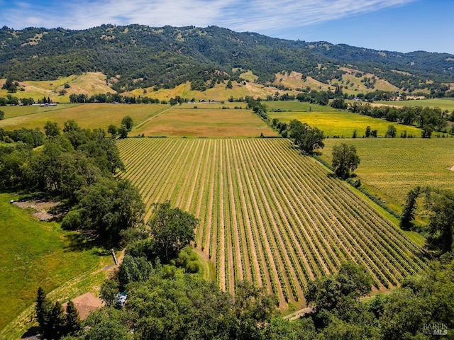 aerial view with a mountain view and a rural view