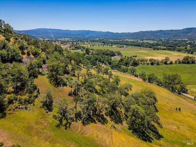 drone / aerial view with a mountain view