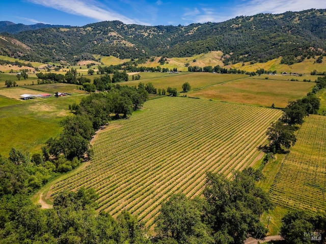 aerial view featuring a mountain view and a rural view