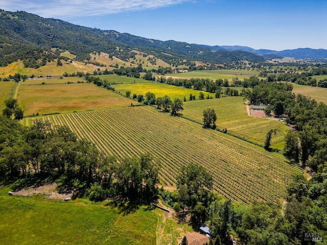 birds eye view of property with a mountain view and a rural view