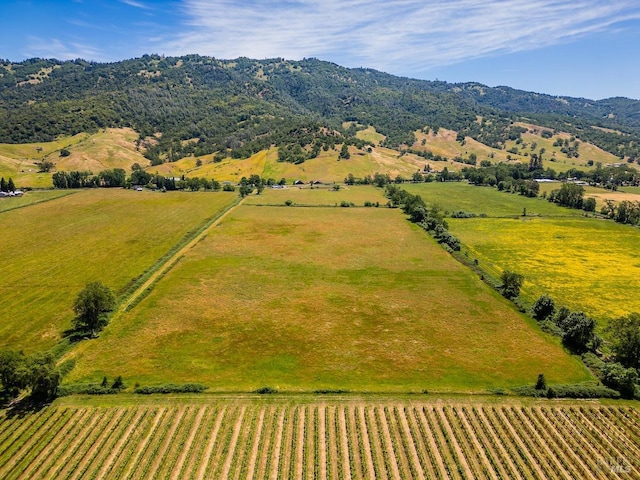 birds eye view of property featuring a rural view