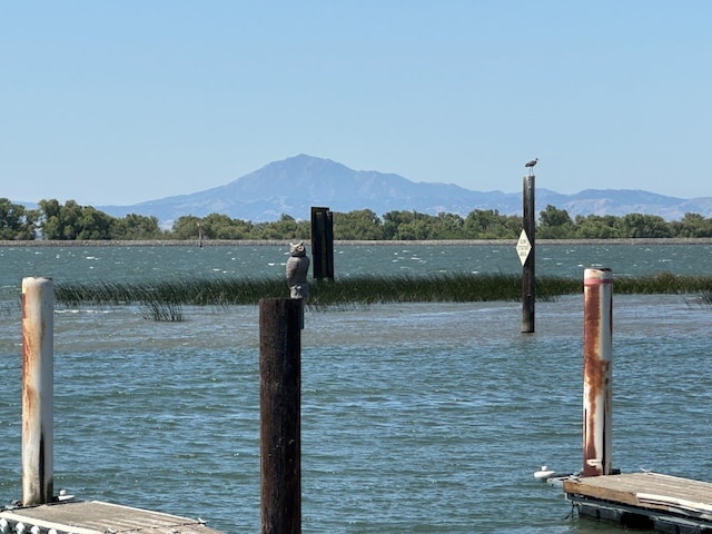 dock area featuring a water and mountain view