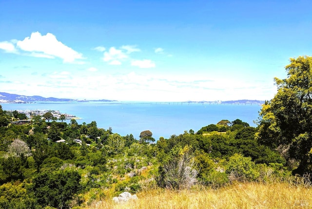 0 Paradise Gln, Tiburon CA, 94920 land for sale