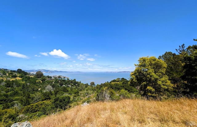 Listing photo 3 for 0 Paradise Gln, Tiburon CA 94920