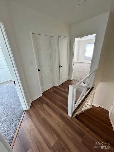 stairway featuring dark wood-type flooring