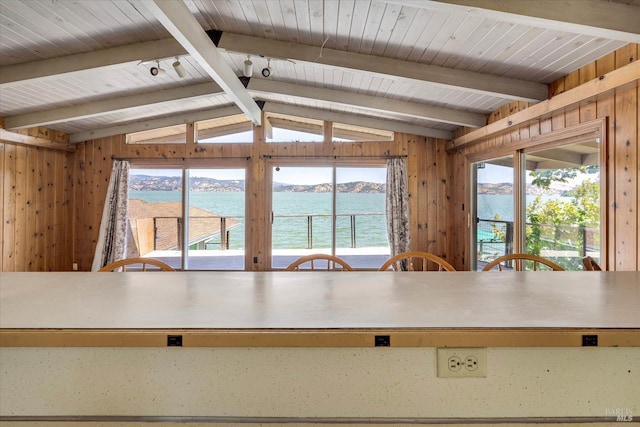 kitchen featuring plenty of natural light, wood walls, and a water view