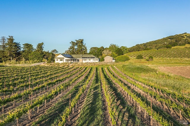 view of yard featuring a rural view