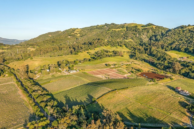 aerial view with a rural view