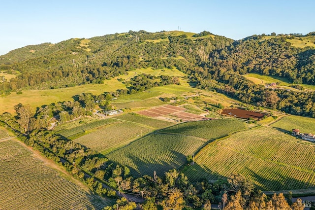 bird's eye view with a rural view