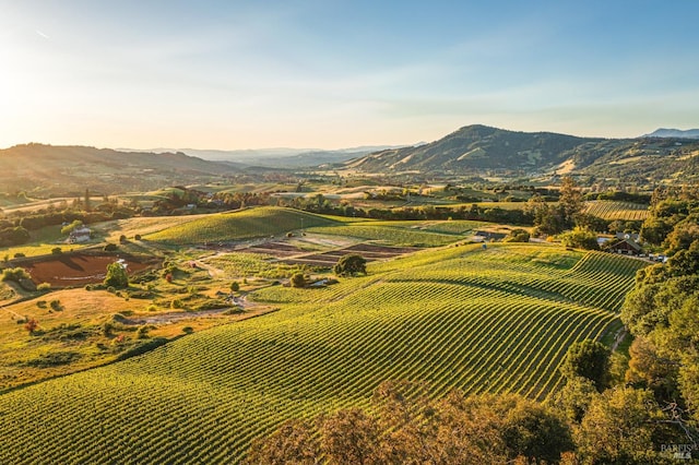 mountain view featuring a rural view