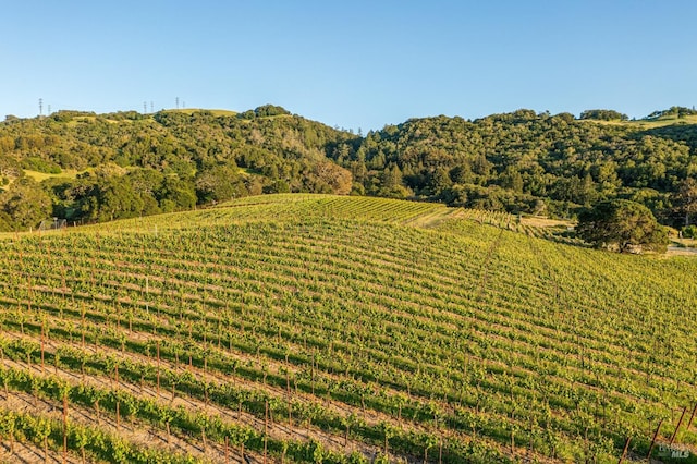 view of mountain feature featuring a rural view