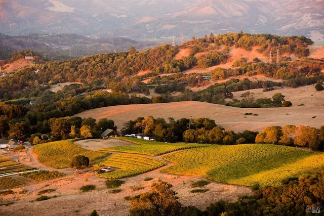 bird's eye view featuring a rural view