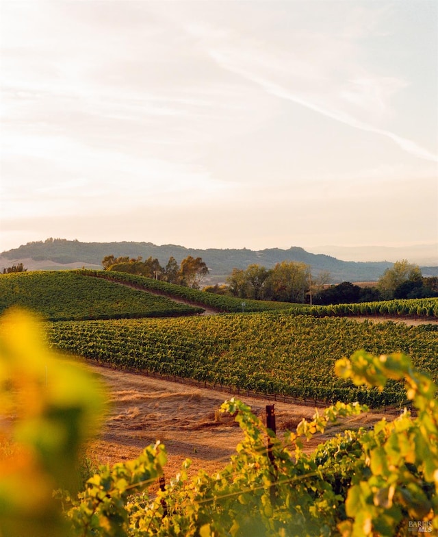 mountain view featuring a rural view