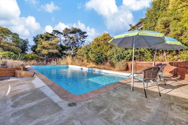 view of pool with a patio area