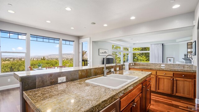 kitchen with stainless steel dishwasher, a kitchen island with sink, dark hardwood / wood-style flooring, and sink