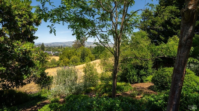 view of landscape