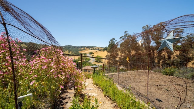 view of yard with a mountain view