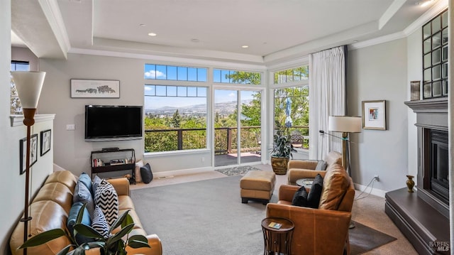 living room featuring crown molding, a raised ceiling, and carpet