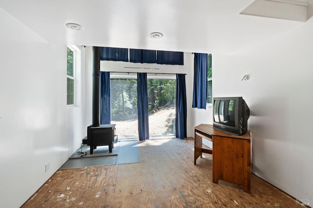 foyer entrance with wood-type flooring