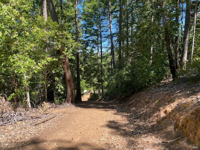 view of local wilderness