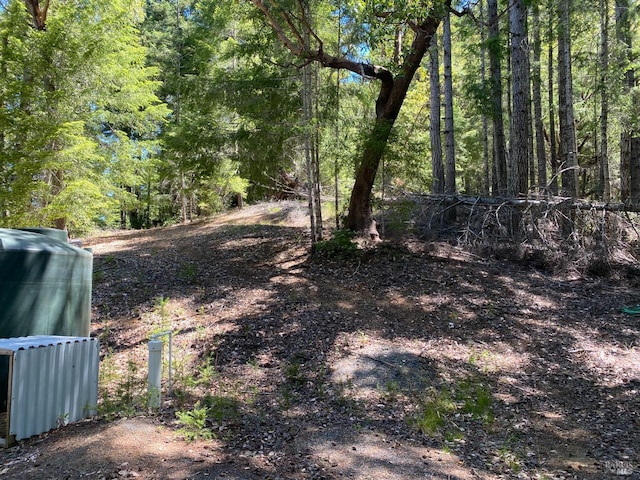 view of local wilderness