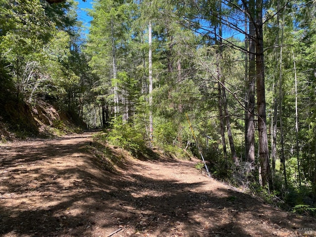 view of local wilderness