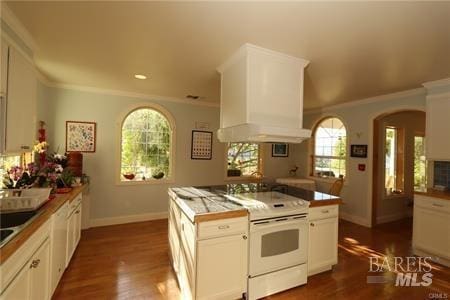 kitchen with crown molding, wall chimney exhaust hood, and electric stove