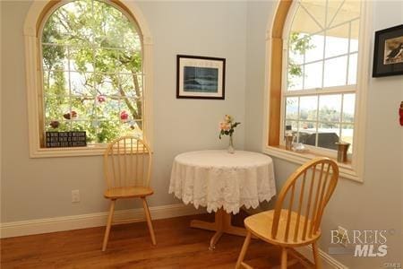 living area with a wealth of natural light, baseboards, and wood finished floors